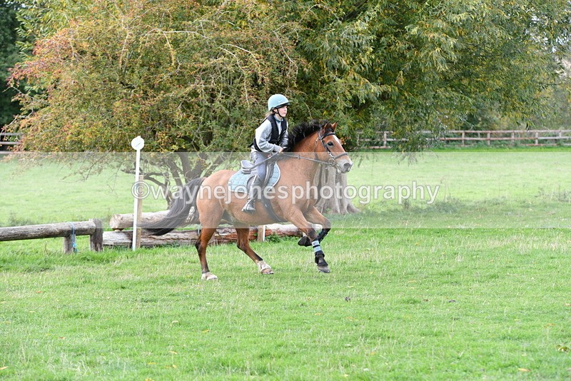 WJ5_0437 - Time 13:59 to 14:28