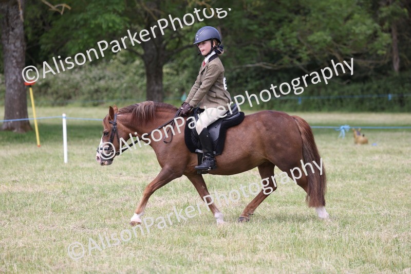 20260614-2091 - Class 21 - Novice Working Hunter Pony