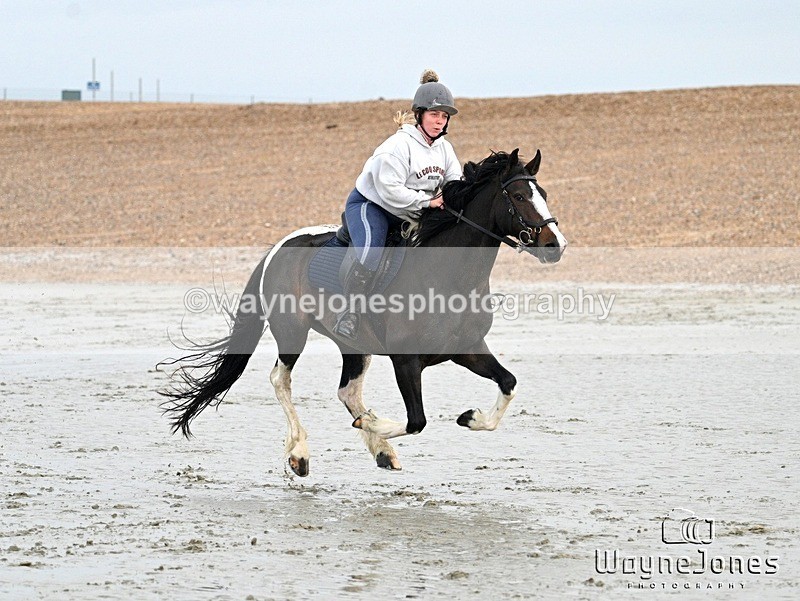 WJ7_9397 - Hayling Island Beach Shoot 22-09-24