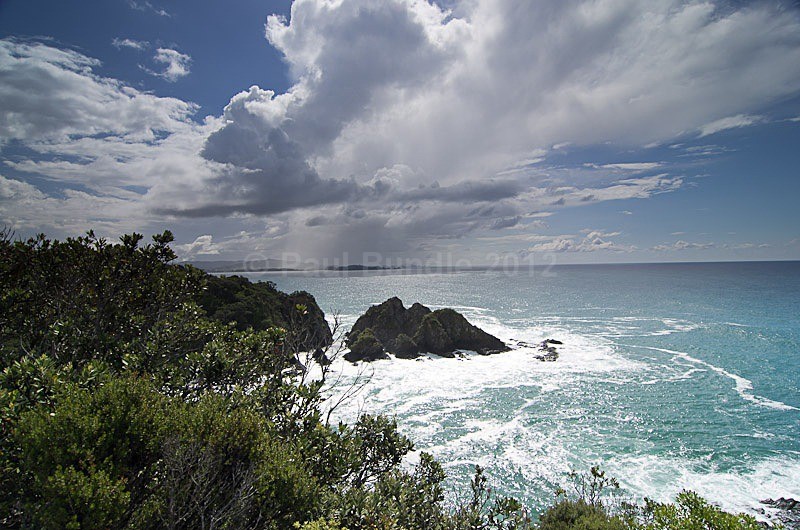 Whale Bay - New Zealand North Island
