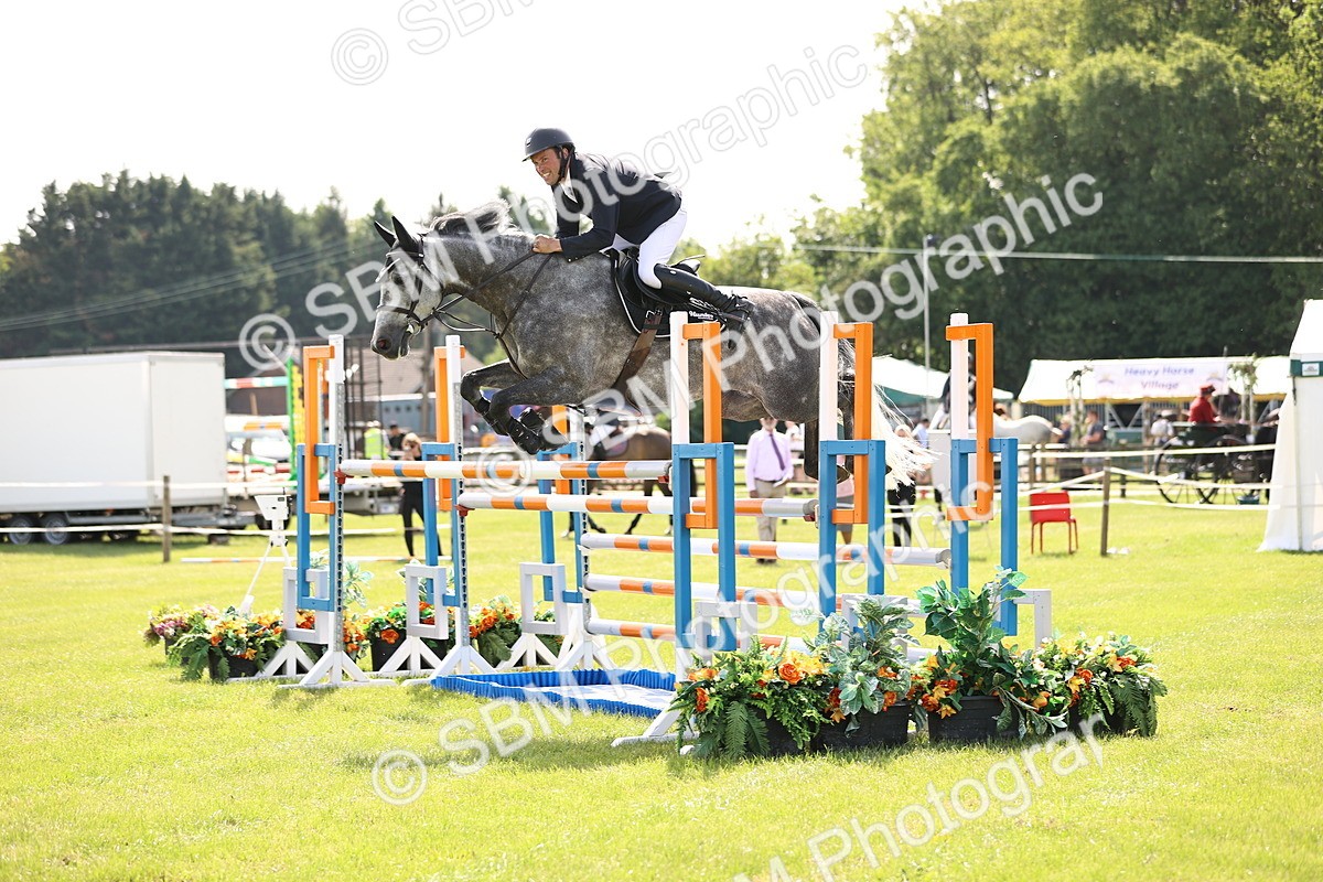 SBM_02939 - Class 201 - British Horse Feedds Speedi Beet HOYS Grade C