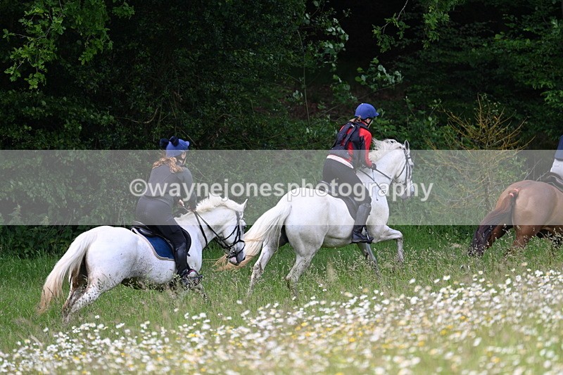 WJ7_8559 - Group 1 10am