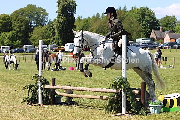 IMG_3527 - Working Hunter