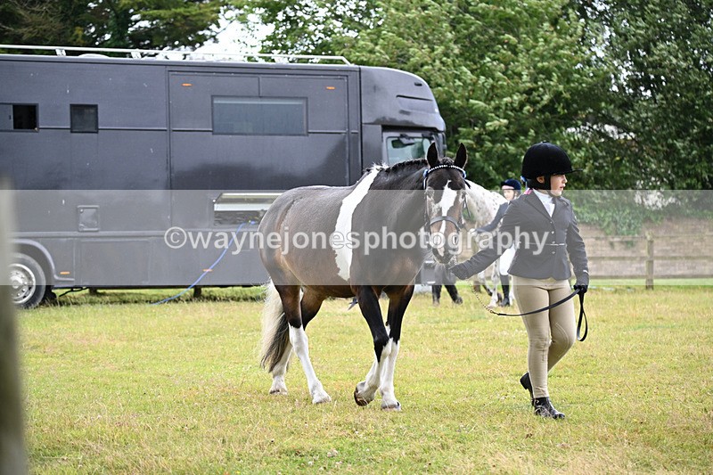 WJ6_8685 - Class 10 Coloured in-hand