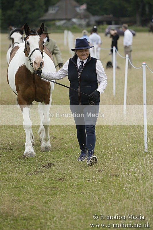 B230619-0750 - Bourne Valley Riding Club Summer Show 23/06/19