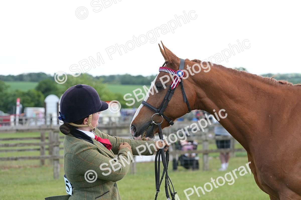 SBM_12951 - Class 99 - RIHS SEIB Working Show Horse