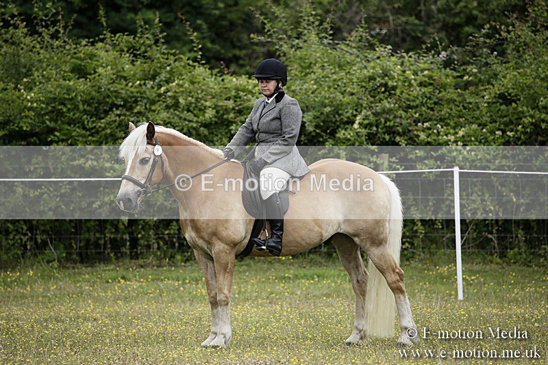 BVR160717-1359 - Ring 1 BVRC Show 16/07/17