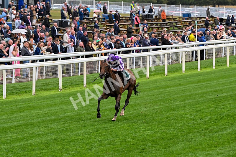 200826-Race 2-Sun Goddess-0277 - Race 2 14.25pm Harry's Half Million By Goffs