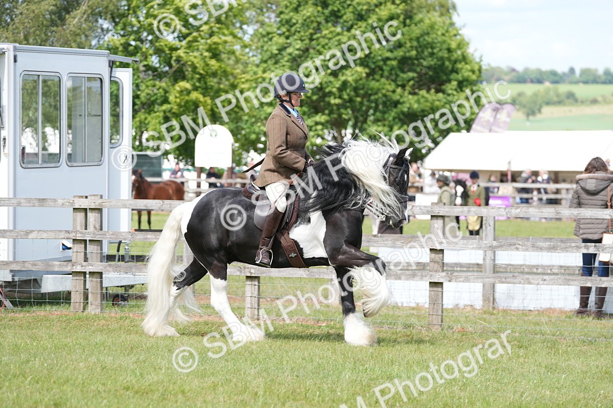 SBM_17139 - Class 107-108 - LIHS BSPS Performance Coloured Horse Pony