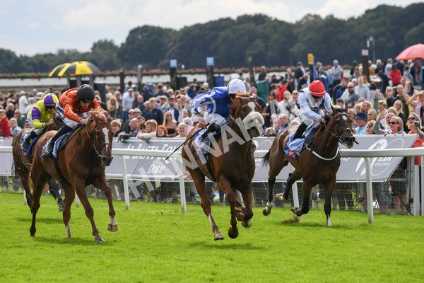 250823-Race 1-Marhaba The Champ-0128 - Race 1 1.50pm Sky Bet Handicap