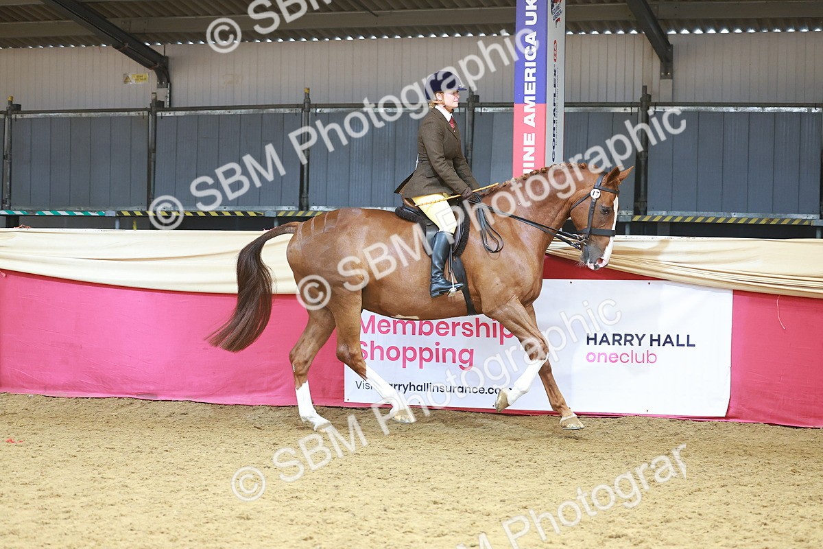 SBM_12455 - Class 103 - HOYS Veteran Qualifier - Ridden Pre Vet