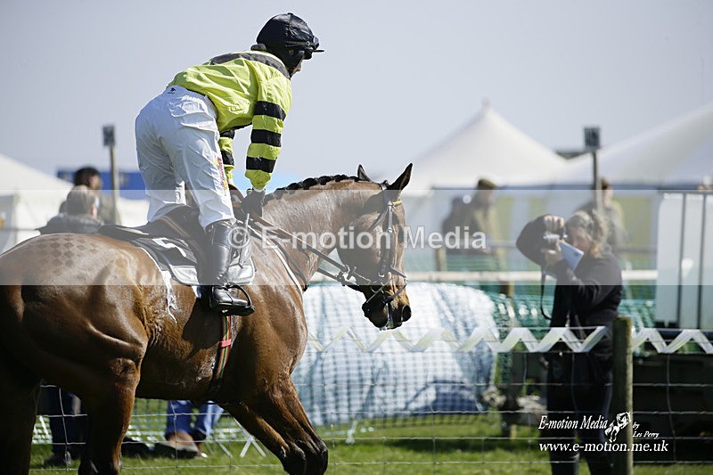 PtP 190322 368 - Wilton Hunt PtP Milborne St Andrew 19/03/22