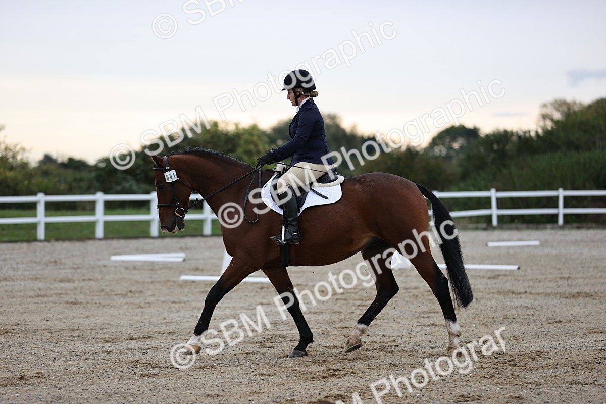 SBM_000319 - Prelim 3