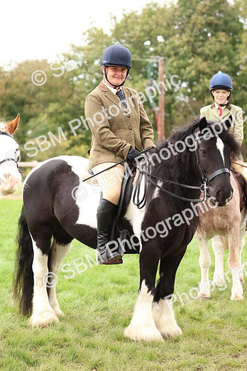 SBM_64590 - S58 - Coloured Pony Ridden