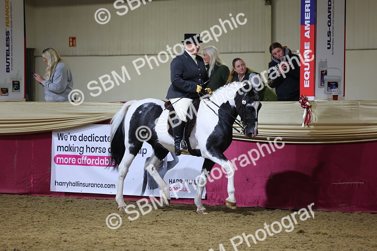 0B8A4623 - Class R Working Veteran Champ