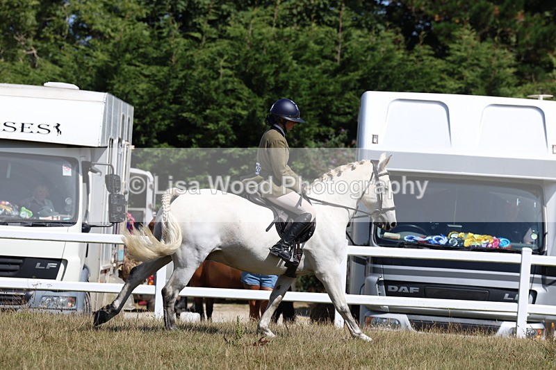 3E7A6353 - Working Hunter Championship
