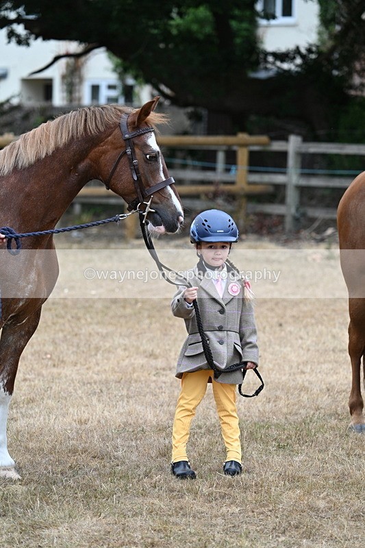 WJ7_8130 - Class 4 Prettiest Mare up to 14.2hh