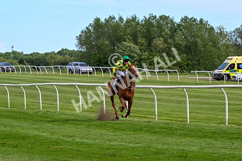 300526-Race 7-Red Rifle-0960 - Race 7 17.17pm Bet At racingtv.com Handicap