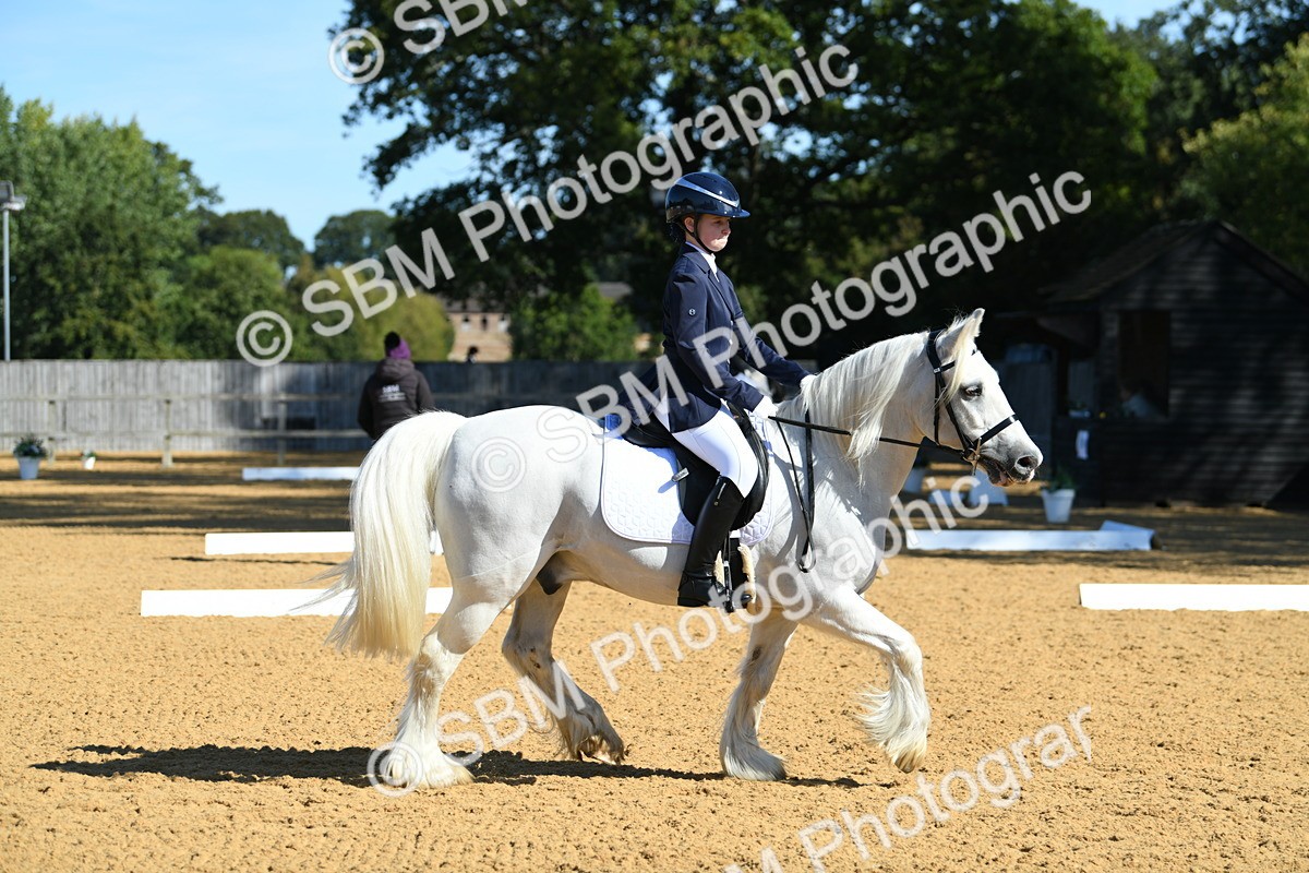SBM_18096 - D4 - Small Tour Championship - Intro B
