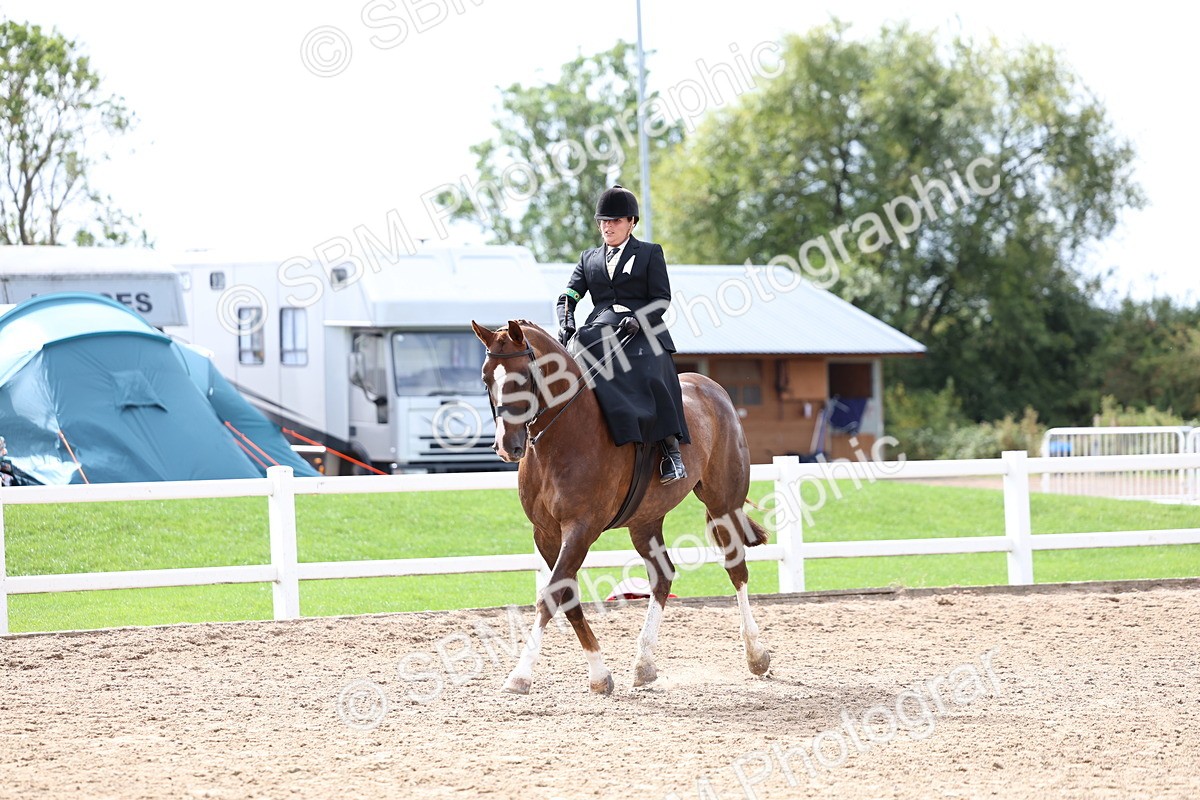 SBM_03338 - Class 23 - SSA Classical (any age)