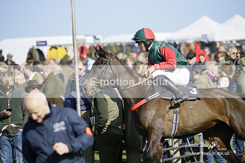 PtP 190322 560 - Wilton Hunt PtP Milborne St Andrew 19/03/22