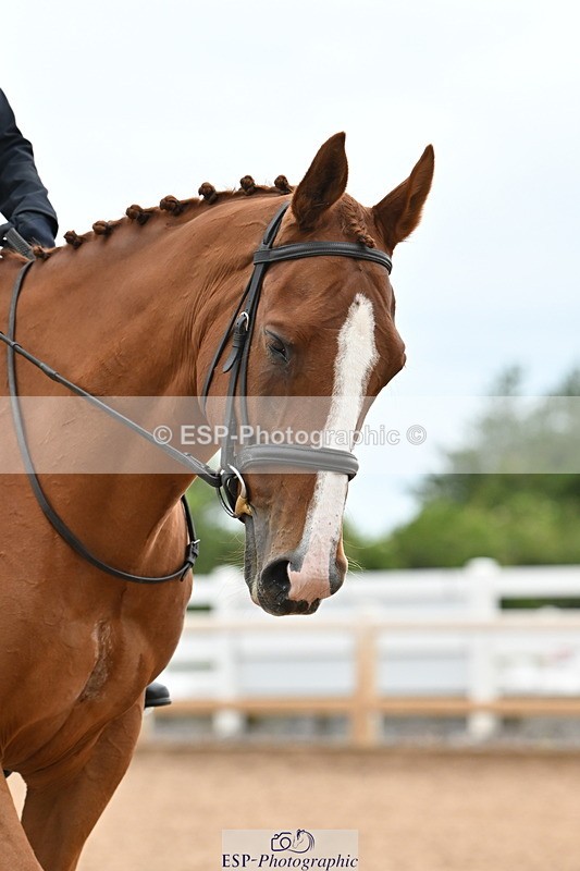 240622A-104153-07634 - Cls 2A+2B+C Intro B RoR