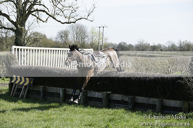 PtP 250317 50 - V.W.H. Hunt Point-to-Point Siddington 25/03/17