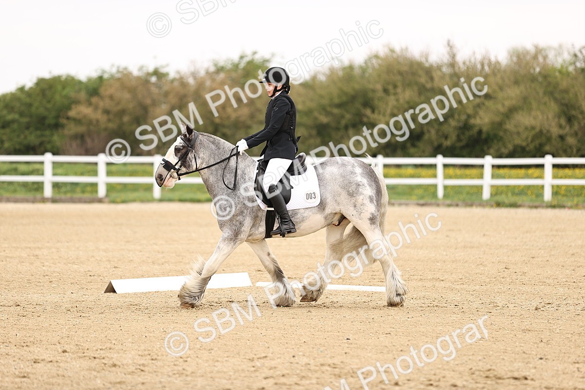 SBM_006821 - Class 2 - Intro 3