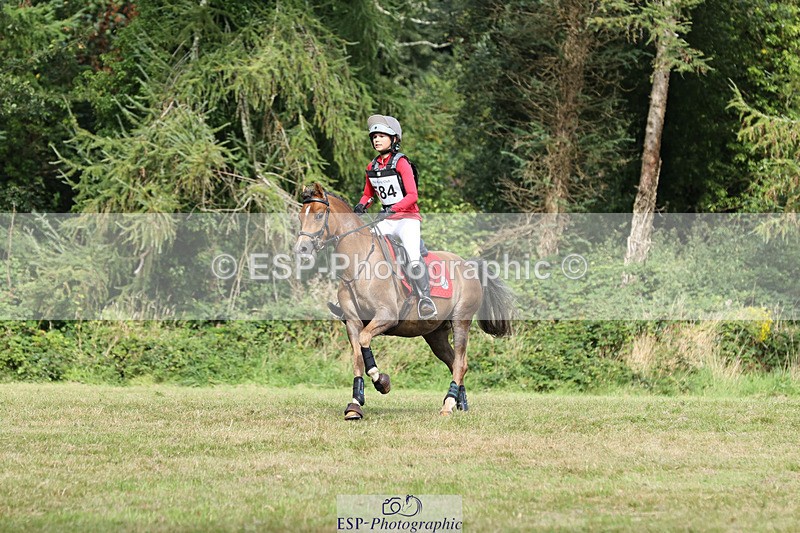 240825X-110937-32211 - 70cm XC 11.00 to 12.00