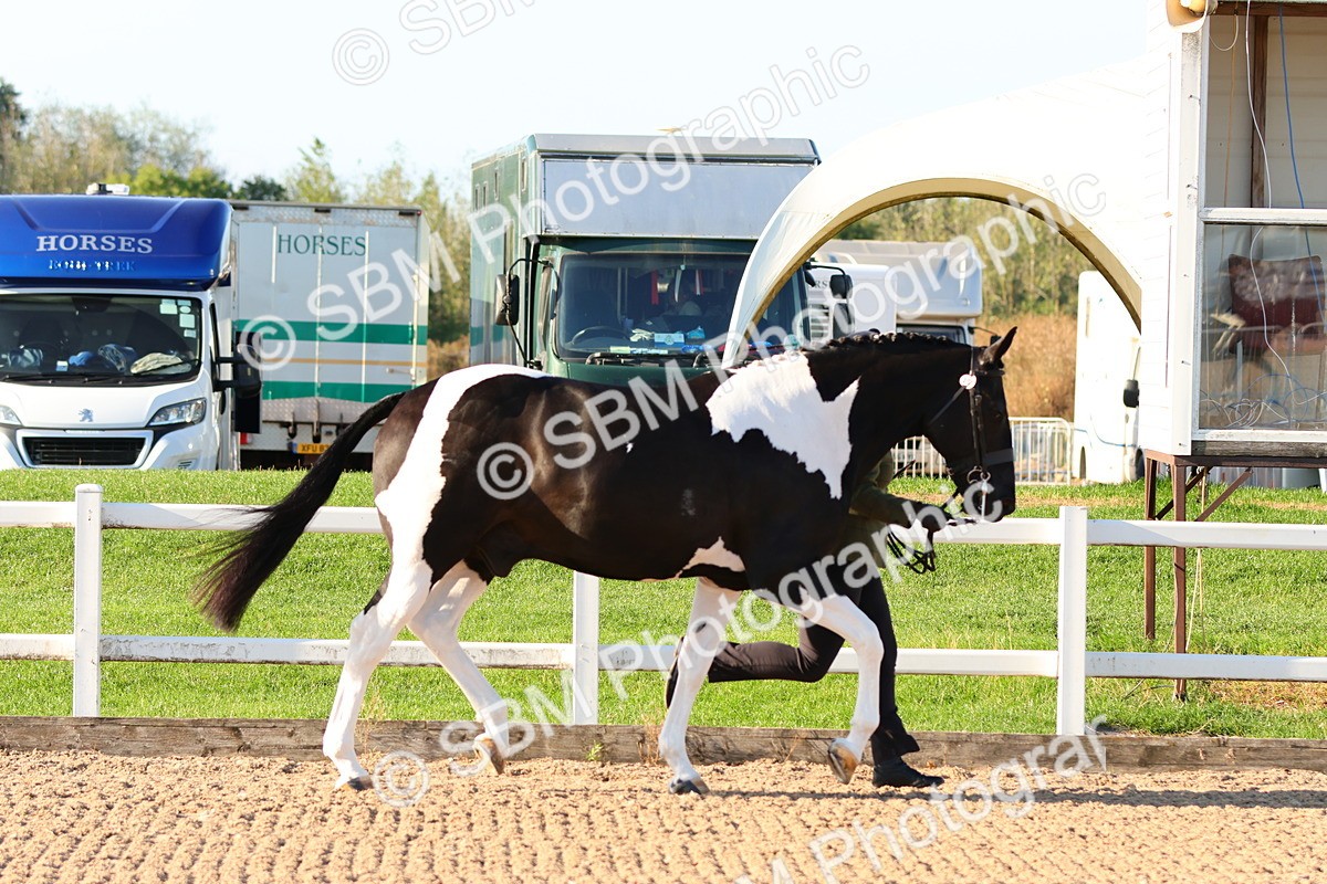 SBM_07972 - Class 201 - Best Turned Out - IH