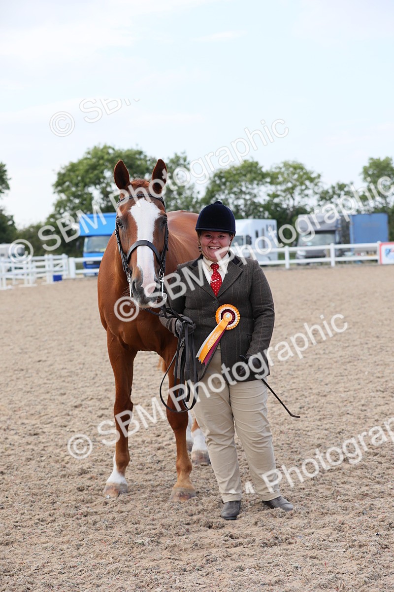 SBM_15863 - Class 312 IH Competition Horse/Pony