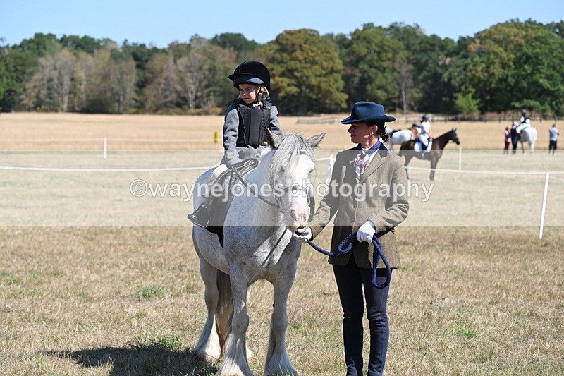 WJ6_8165 - Class 36 Lead Rein