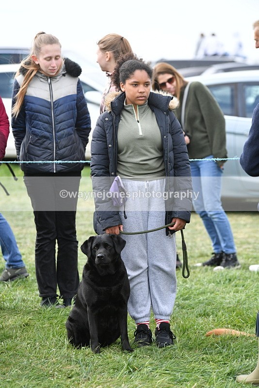 WJ5_0144 - Class 5 Best Veteran / 7 years & over