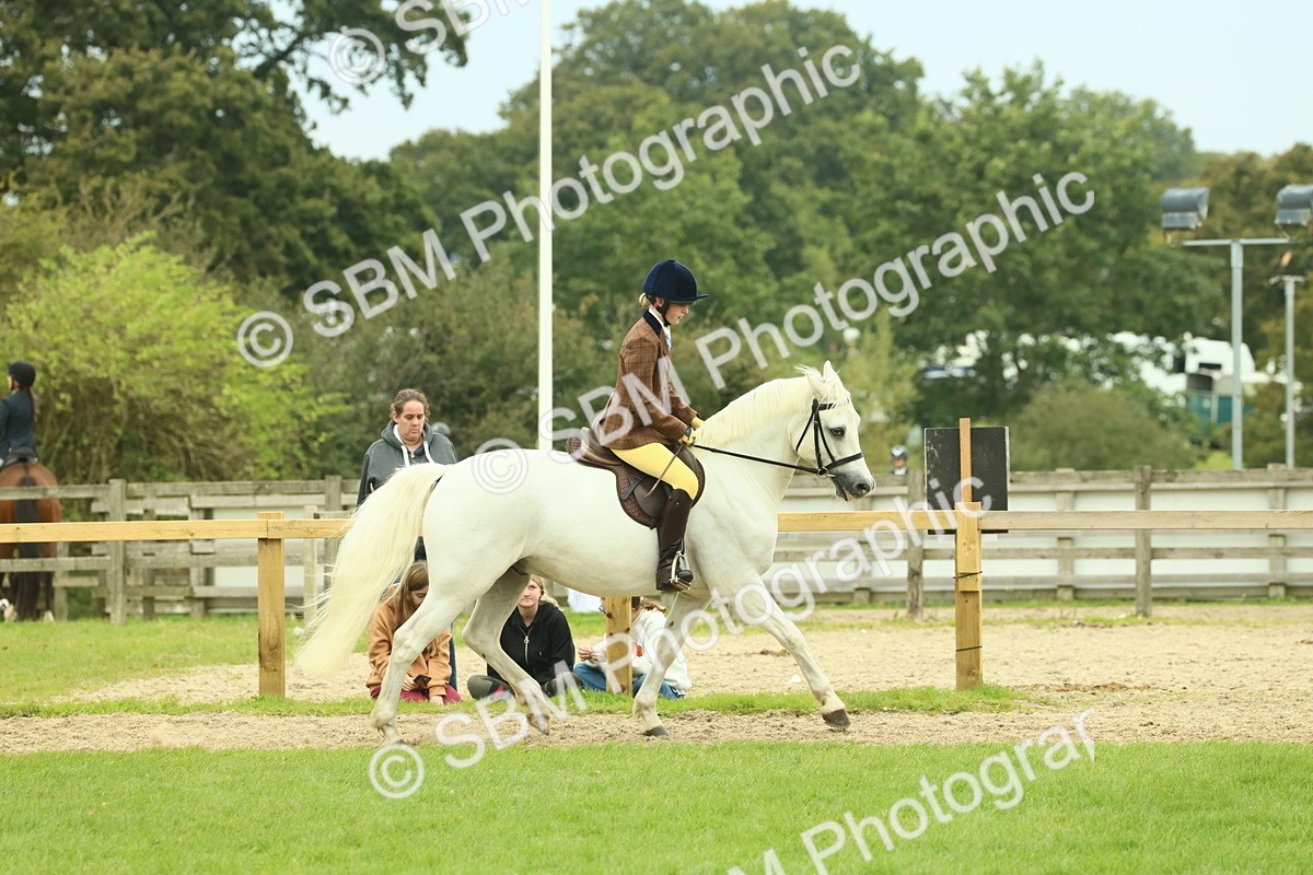SBM_72167 - S60 - Mountain & Moorland Ridden Large Breeds