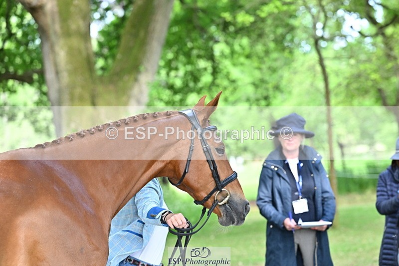 250521A-165916-01454 - C-276-Sammi.Birch-ROSAS.PARTY