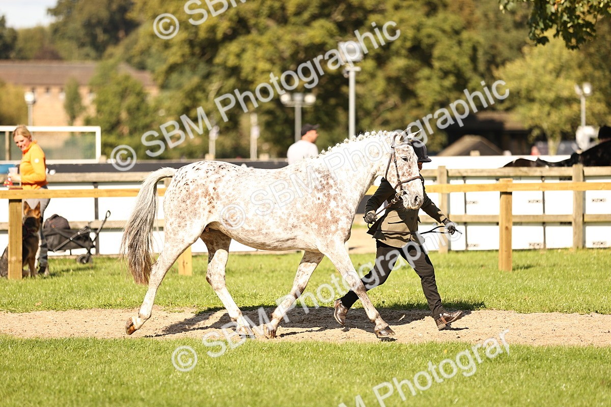 SBM_26156 - S5 - Novice & Newcomers In Hand
