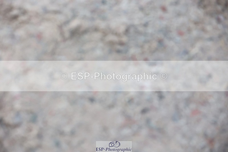 241201X-134811-01557 - Cls 27-28 Winter -Summer