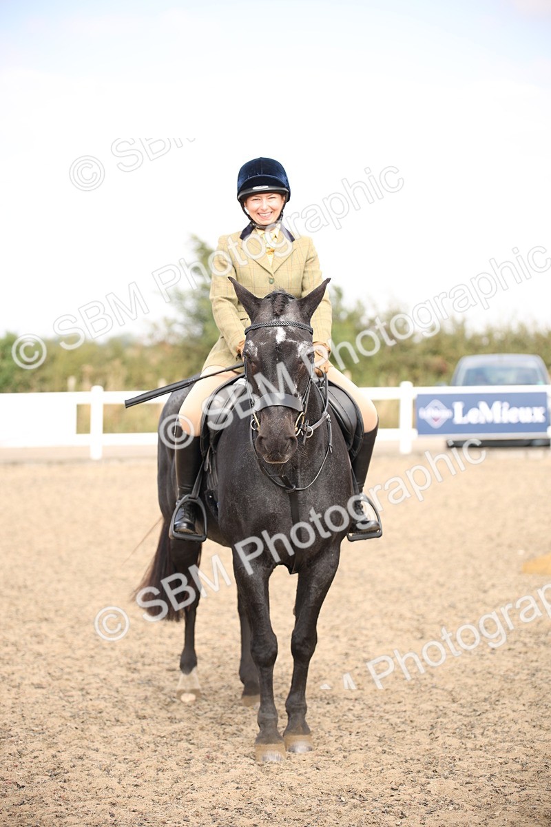 SBM_14375 - Class 407b - Working Veteran 60cm (20+)