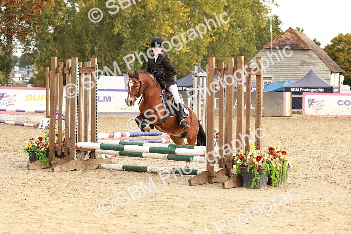 SBM_55750 - J11 - Junior Pony 50cm Championship