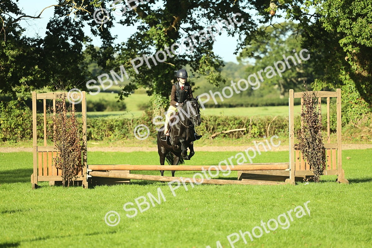 SBM_36317 - S29 - Novice & Newcomers Working Hunter Pony