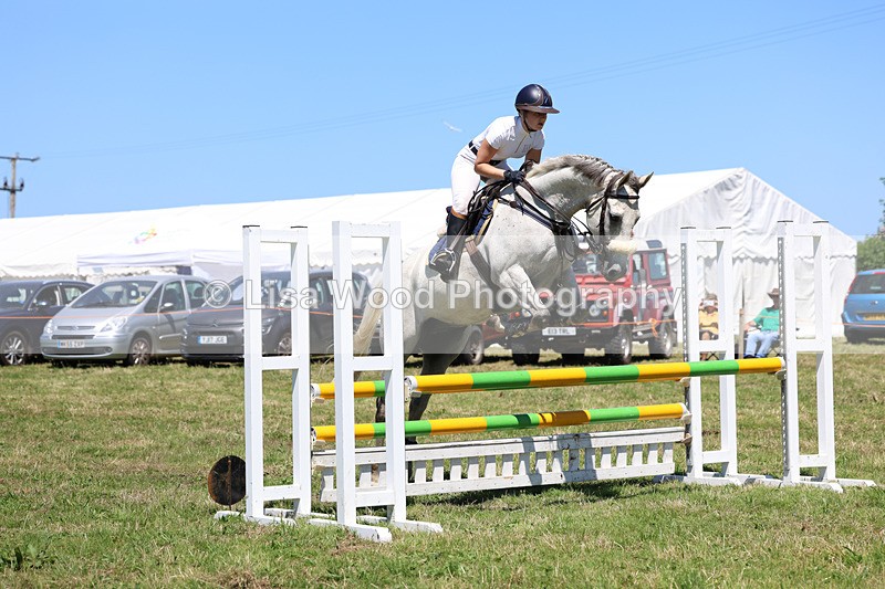 3E7A5464 - Class 9: Senior British Novice/90cm open