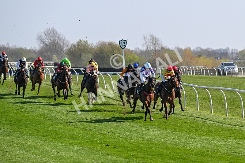 080426-Race 4-Evocative Spark-0314 - Race 4