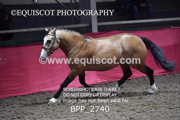 BPP_2740 - LOOSE JUMPING / SPSS