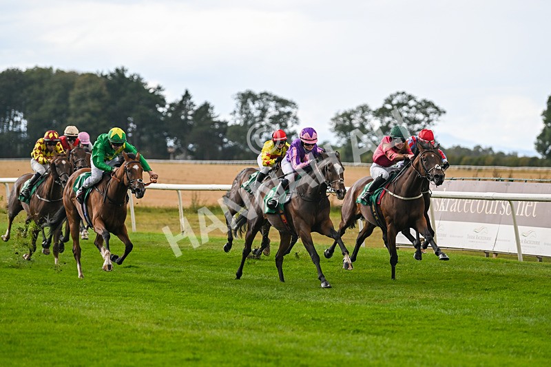 290825-Race 1-Sandret-8076 - Race 1