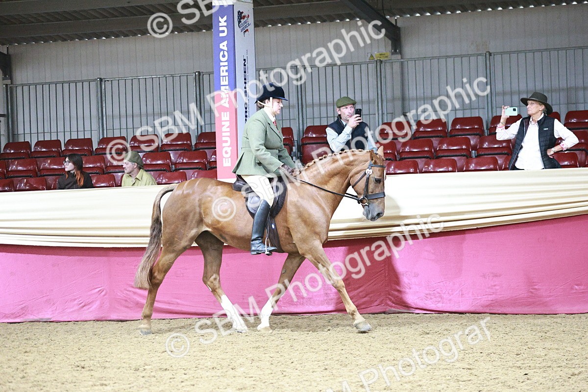SBM_03335 - Class 6A Area Ridden Pre-Vet