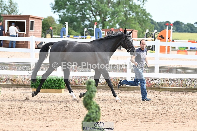 240717A-163626-03443 - Trot Up 4pm to 5pm