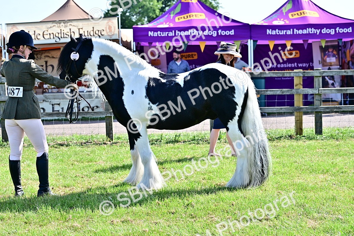 SBM_11702 - Class 93-94 - BSPA RIHS Ridden