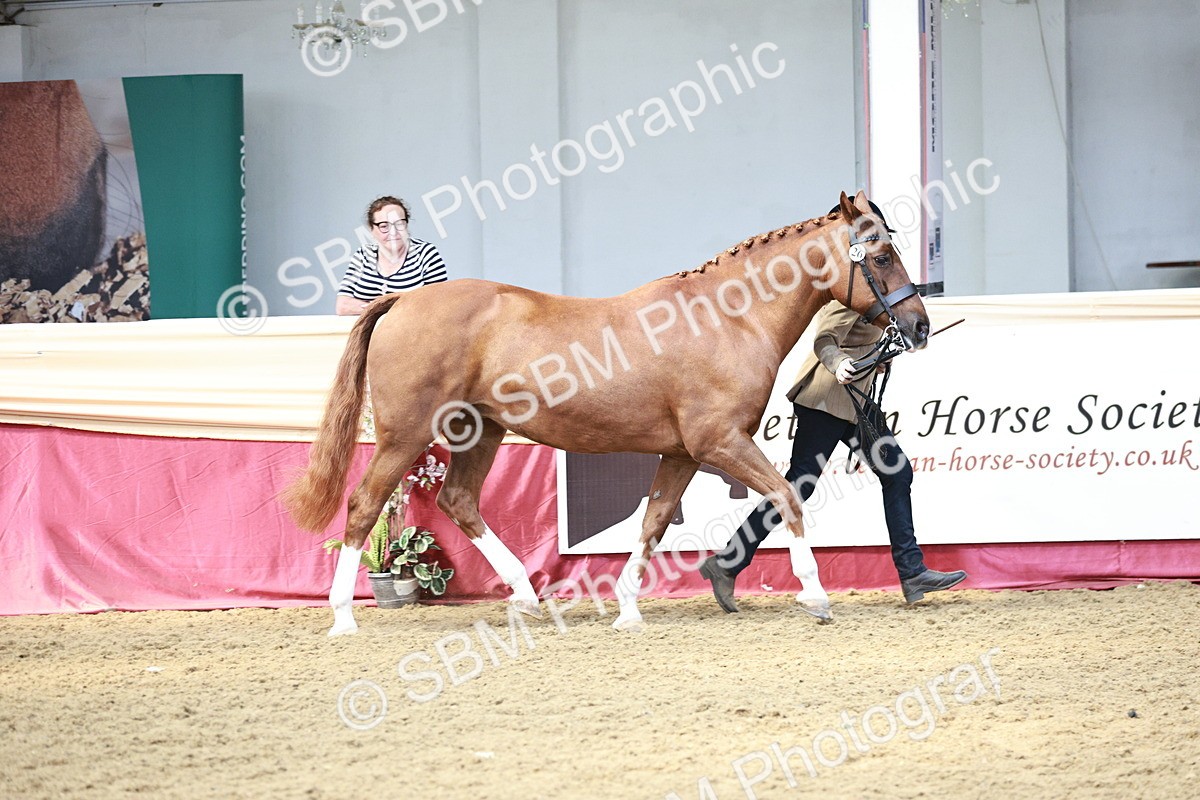 SBM_04745 - Class 7R - Regional IH Diamond