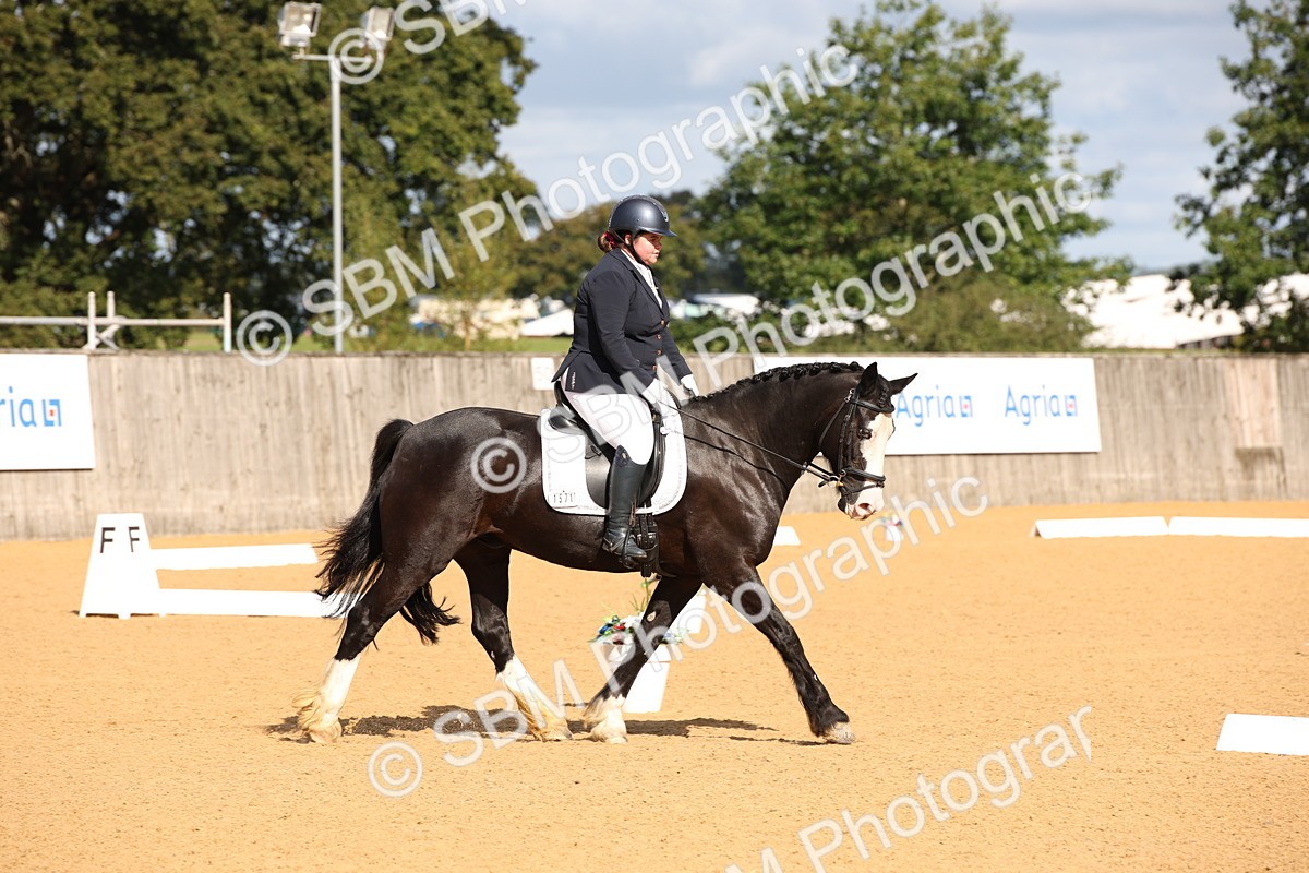 SBM_04193 - D2 Small Tour Championship Intro C