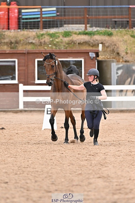 250716-160412-02384 - Trot Up 3.30 to 4.30